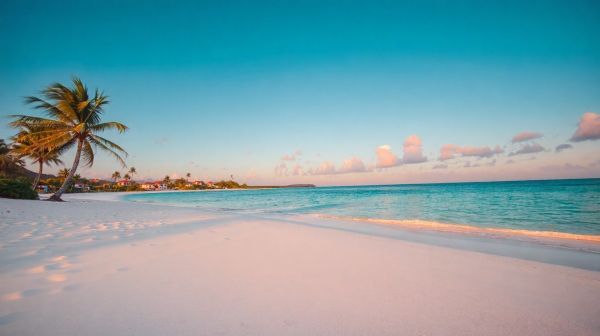 Top raisons d'investir à l'île Maurice : cadre légal avantageux